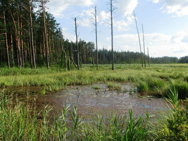 Туры по Украине - Полесский заповедник