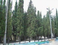 Оздоровчий комлекс "Легенда"