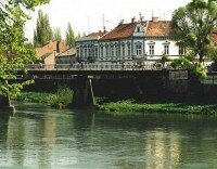 Літні барви Закарпаття