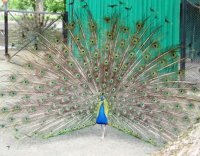 Заповідний Південь