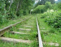 Карпатський трамвай + Манявський скит