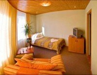 Стандарт одномісний 